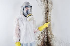 Best Black Mold Removal  in Jacksonville, NC